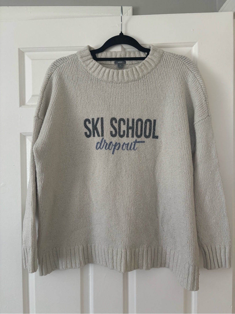 aerie Cream Crewneck Sweater with Blue 'Ski School Dropout' Graphic